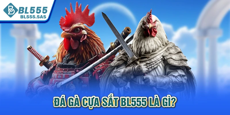 Đá gà cựa sắt BL555 là gì? Đá gà cựa sắt BL555 là gì?