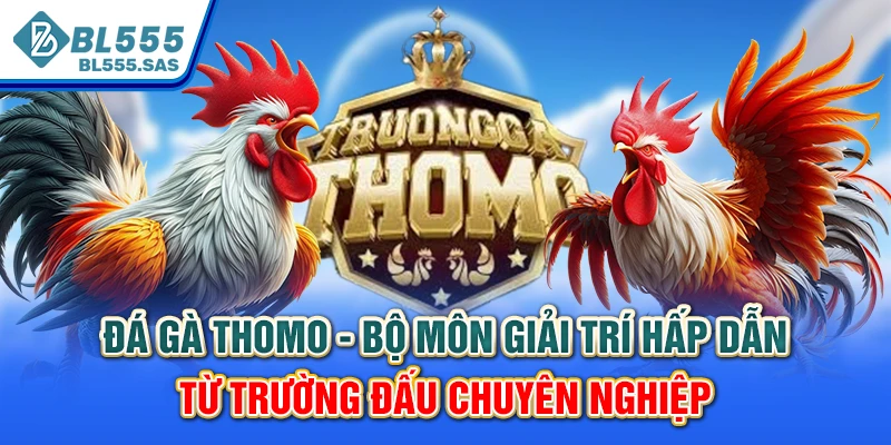 Đá gà Thomo - Bộ môn giải trí hấp dẫn từ trường đấu chuyên nghiệp Đá gà Thomo - Bộ môn giải trí hấp dẫn từ trường đấu chuyên nghiệp
