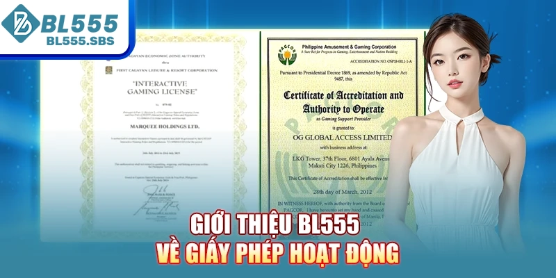 Giới thiệu BL555 về giấy phép hoạt động Giới thiệu BL555 về giấy phép hoạt động