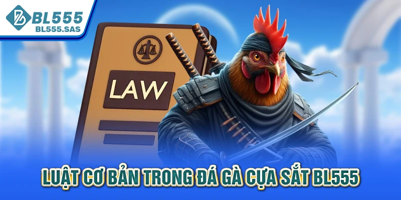 Luật cơ bản trong đá gà cựa sắt BL555 Luật cơ bản trong đá gà cựa sắt BL555