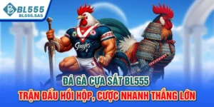 Đá Gà Cựa Sắt BL555 - Trận Đấu Hồi Hộp, Cược Nhanh Thắng Lớn