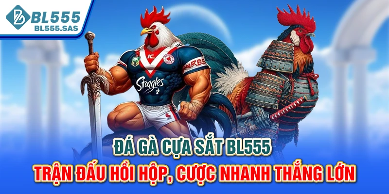 Đá Gà Cựa Sắt BL555 - Trận Đấu Hồi Hộp, Cược Nhanh Thắng Lớn