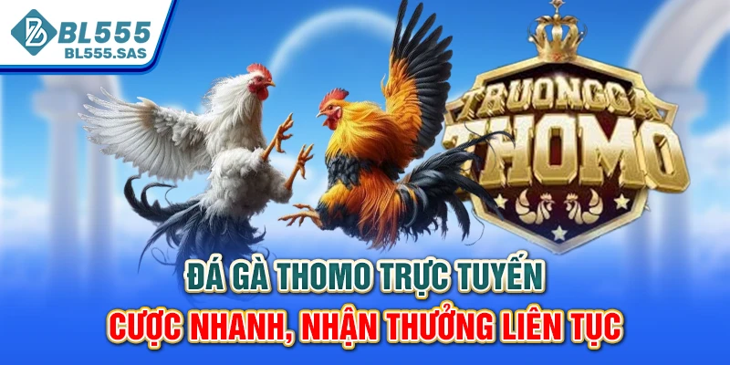 Đá Gà Thomo Trực Tuyến - Cược Nhanh, Nhận Thưởng Liên Tục